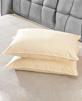 Cheer Collection Soft and Airy Cotton Kapok 2-Pack Pillows