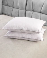 Cheer Collection Soft Silky Cotton Kapok 2 Pack Pillows