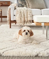 Nourison Home Dreamy Shag DRS07 4'x6' Area Rug