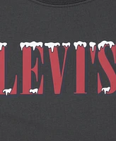 Levi's Big Boys Snowed Tee