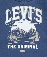 Levi's Little Boys Mountain Crewneck Tee and Denim Pants, 2-Piece Set