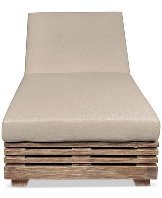 Vivid Outdoor Chaise Lounge Chair