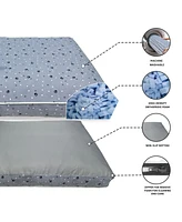 Paw & Decor Paws and Decor Orthopedic Dog Bed, Pet Bed to Support Dogs Joint Health, Paws and Dots Pattern