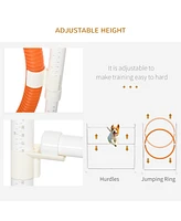 Streamdale Furniture 7 Piece Dog Agility Training Equipment, Dog Obstacle Course Starter Kit with Tunnels, Weave Poles, Adjustable Hurdles, Jumping Ri