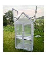 Mini Greenhouse Kit