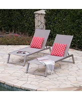 Myers Chaise Lounge: Adjustable Comfort For Poolside Bliss