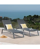 Classic Aluminum Chaise Lounges: Adjustable Comfort For Outdoor Relaxation