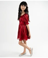 Rare Editions Big Girls Shimmer Organza Dress