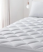 Claritin Allergen Barrier Mattress Pad