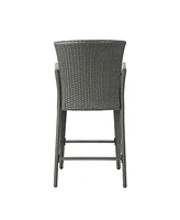 Anaya 2-Piece Outdoor Wicker Barstool Set With Iron Frames And Foot Rails
