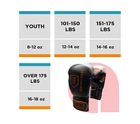 Invincible Fight Gear Hook and Loop Leather Training Boxing Gloves with Usa Flag Colors
