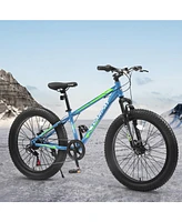 Streamdale Furniture Elecony 24 Inch Fat Tire Bike Adult/Youth Full Shimano 7 Speeds Mountain Bike, Dual Disc Brake