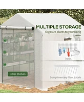 8' x 6' x 7' Walk-in Greenhouse with Mesh Door and Windows, 18 Shelf Green House with Trellis, Plant Labels, Uv protective for Growing Flowers, Herbs,