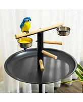 Streamdale Furniture Bird Play Stand, Portable Parrot Perch, Bird Feeder Station, with Four Wheels, Stainless Steel Feeding Bowls, Round Tray, Grey