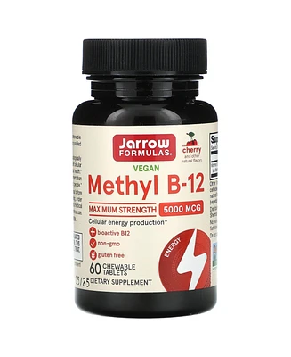 Jarrow Formulas Nutrition Methyl B-12 Maximum Strength Cherry 5 000 mcg