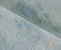 Exquisite Rugs Saccara 6806 8'x10' Area Rug