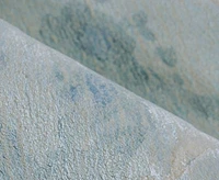 Exquisite Rugs Saccara 6806 Rug Collection