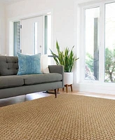 Capel Worthington 0209 Rug Collection