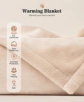 Sealy Heated Flannel Blanket