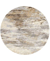 Feizy Parker 3704F 7'9"x7'9" Round Area Rug