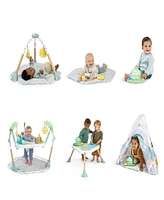 Ingenuity Baby Tummy to Toes 6-in-1 Milestones Center Baby Gear