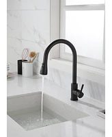 Streamdale Furniture Kitchen Faucet with Pull Out Sprayer