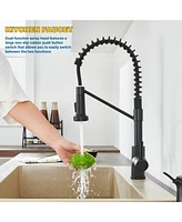 Flynama Single Hole Single-Handle Pull-Down Sprayer Kitchen Faucet In Matte Black