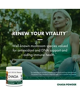 Host Defense Chaga Powder - Immune System Support Supplement - Chaga Mushroom Powder for Antioxidant Activity Support - Dietary Mushroom Supplement