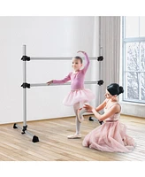 Hongge 4 Feet Double Ballet Barre Bar with Adjustable Height