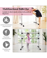 Hongge 4 Feet Double Ballet Barre Bar with Adjustable Height
