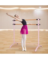 Hongge 4 Foot Portable Freestanding Double Ballet Barre
