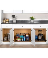 Florida Brands Black Pull Out Cabinet Organizer x 21 In