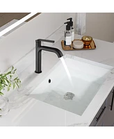 Mondawe Single Handle Bathroom Sink Faucet, Modern Bathroom Faucet with Sprayer Matte Black