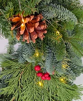 International Christmas Innovation Traditional Noble Fir Fresh Wreath with Warm Lights, 22"