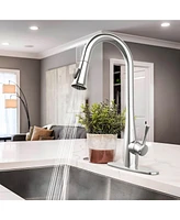 Lovmor Modern High Arc Kitchen Faucet with Sprayer, Chrome