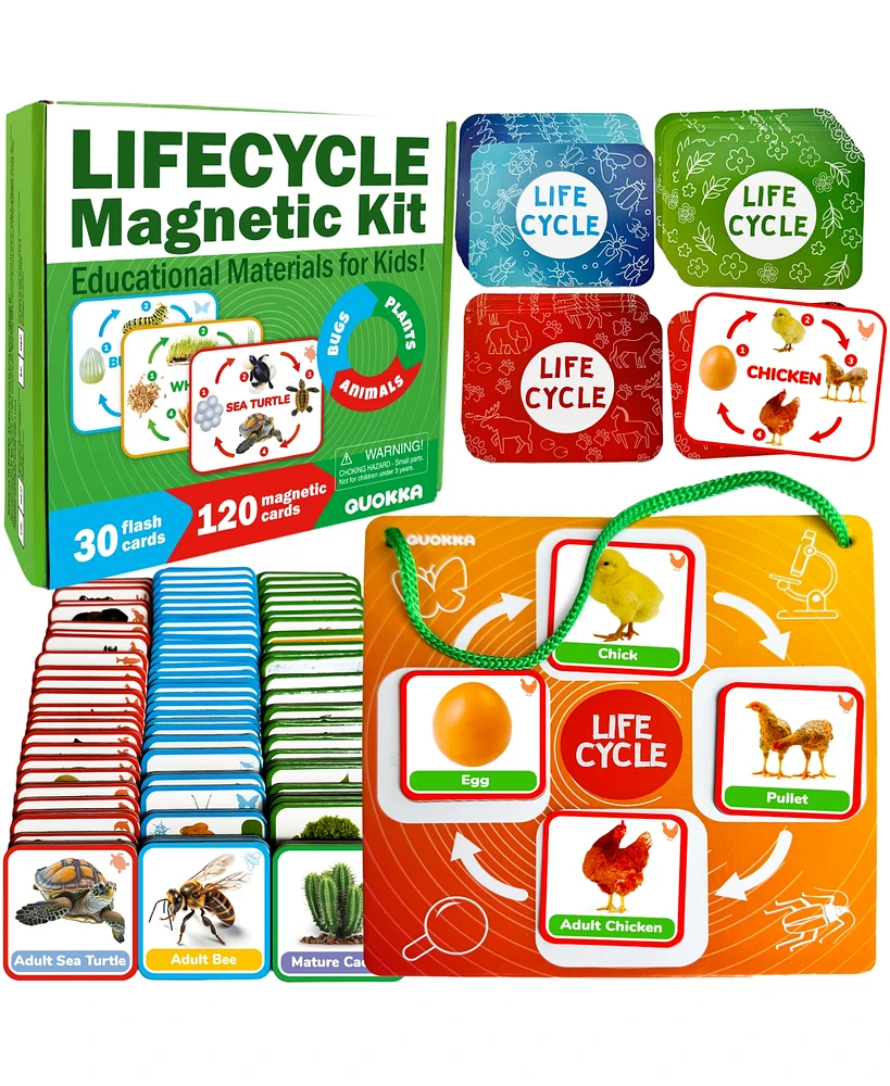 Quokka Life Cycle Kit Toy Montessori - Flash Cards Science Activities - Assorted Pre