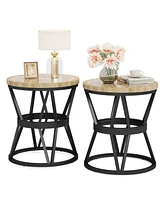 Tribesigns Side Table Set of 2, Round Carved End Table for Living Room, Bedroom, Small Side Table with Metal Frame, Accent Coffee Table, Nightstand wi