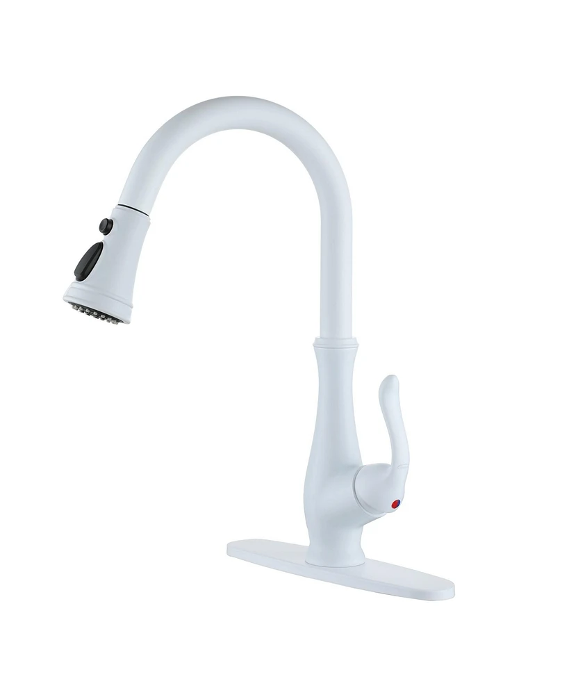 Mondawe pull down kitchen faucet,White
