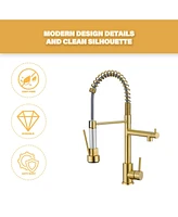 Flynama Spring Double Handles Deck Mount Pull Out Sprayer Kitchen Faucet with Clean Water Outlet