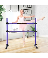 Hongge 4 Feet Portable Ballet Barre with Adjustable Height
