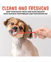 Precious Tails 2-Pc Pet Dental Kit for Dogs and Cats, Double Headed Tooth Hugger Brush and Vanilla Flavor Toothpaste Set