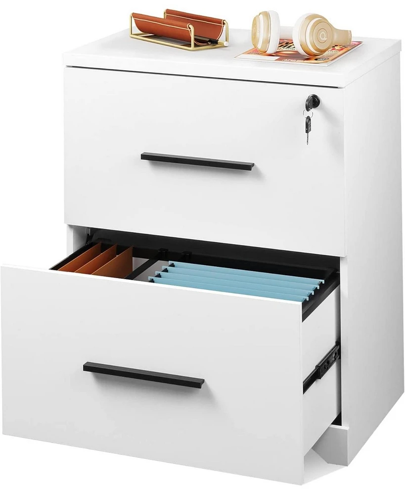 Devaise 2-Drawer Wood Lateral File Cabinet with Lock for Office Home