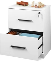 Devaise 2-Drawer Wood Lateral File Cabinet with Lock for Office Home