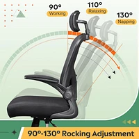 Devaise Mesh Computer Office Chair, High Back Ergonomic Desk Chair with Flip-up Armrests and Adjustable Headrest, Backrest and Lumbar Support