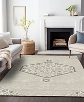 Addison Chantille Machine Washable ACN1011 8'x10' Area Rug