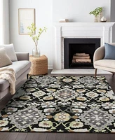Addison Chantille Machine Washable Acn1002 Rug Collection