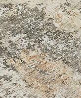 Addison Chantille Machine Washable ACN1161 8'x10' Area Rug