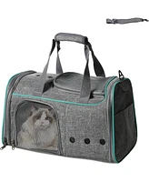 Slickblue Breathable Mesh Pet Carrier – Airline Approved for Pets Up to 16.5lbs with Locking Zippers