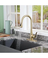 Casainc 1.8 Gpm Pull Down Kitchen Faucet with Deck Plate