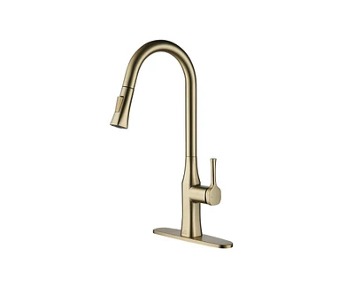 Casainc 1.8 Gpm Single-Handle Pull-Down Kitchen Faucet Single Hole with Deck Plate